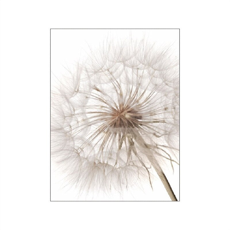 Dandelion Beach Sunset Simple Landscape Wall Art Fine Art Canvas Prints Lifestyle Pictures Of Nature For Living Room Bedroom Decor