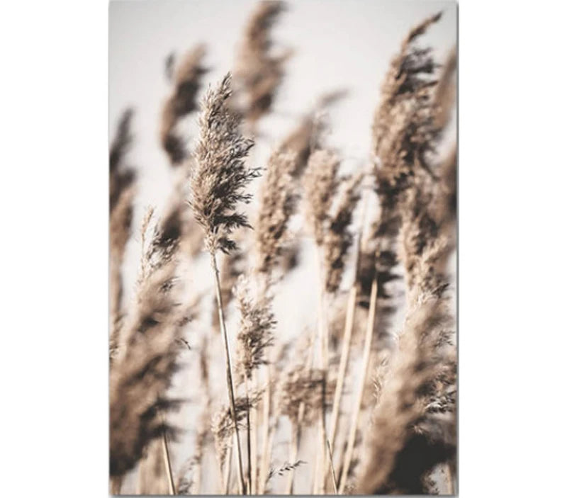 Mountain Lake Wilderness Landscape Wall Art Fine Art Canvas Prints Posters Pictures Of Calm For Living Room Dining Room Decor