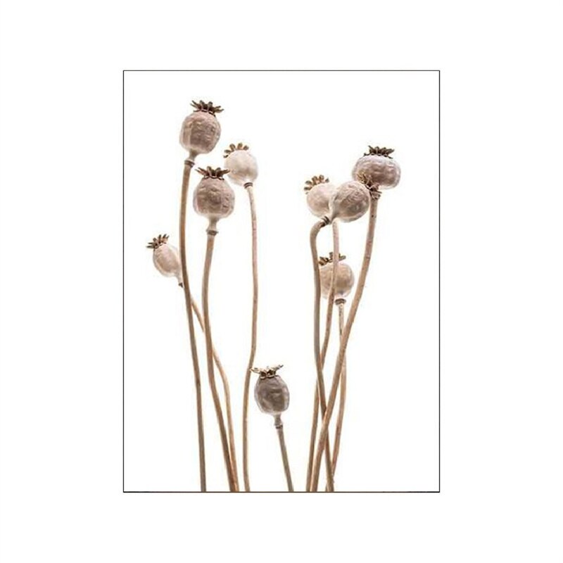 Dandelion Beach Sunset Simple Landscape Wall Art Fine Art Canvas Prints Lifestyle Pictures Of Nature For Living Room Bedroom Decor