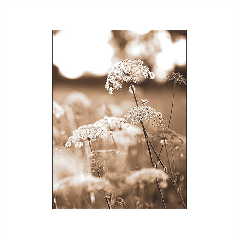 Summer Fields Morning Sunshine Wall Art Fine Art Canvas Prints Simple Lifestyle Landscape Pictures Of Nature For Living Room Decor