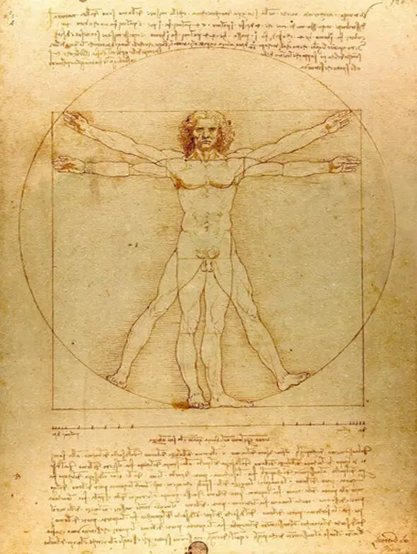 Classic Painting Vitruvian Man, Study of Proportions by Leonardo da Vinci Fine Art Canvas Print Famous Paintings Wall Art Home Office Decor