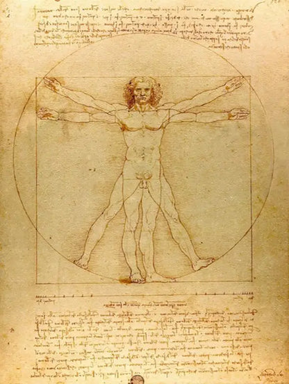 Classic Painting Vitruvian Man, Study of Proportions by Leonardo da Vinci Fine Art Canvas Print Famous Paintings Wall Art Home Office Decor