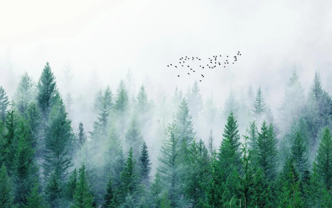 47887499198743|47887499231511|47887499264279|47887499297047|47887499329815