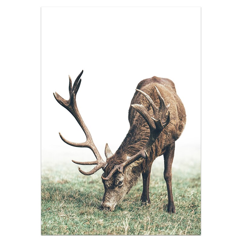 Scandinavian Forest Landscape Wall Art Fine Art Rustic Nordic Nature Tree Rings Deer Canvas Wood Prints Minimalist Pictures For Modern Country Home Decor