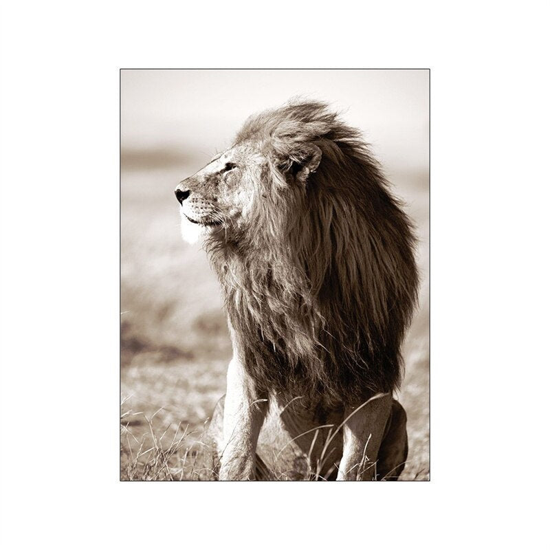 Dandelion Beach Sunset Simple Landscape Wall Art Fine Art Canvas Prints Lifestyle Pictures Of Nature For Living Room Bedroom Decor