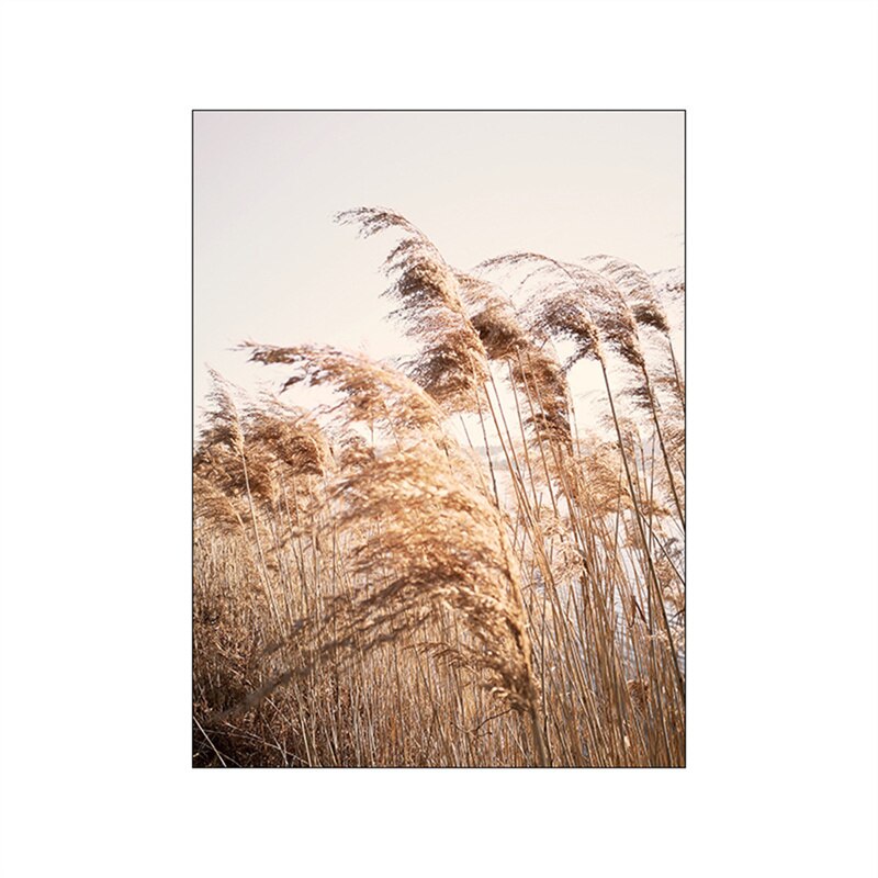 Summer Fields Morning Sunshine Wall Art Fine Art Canvas Prints Simple Lifestyle Landscape Pictures Of Nature For Living Room Decor