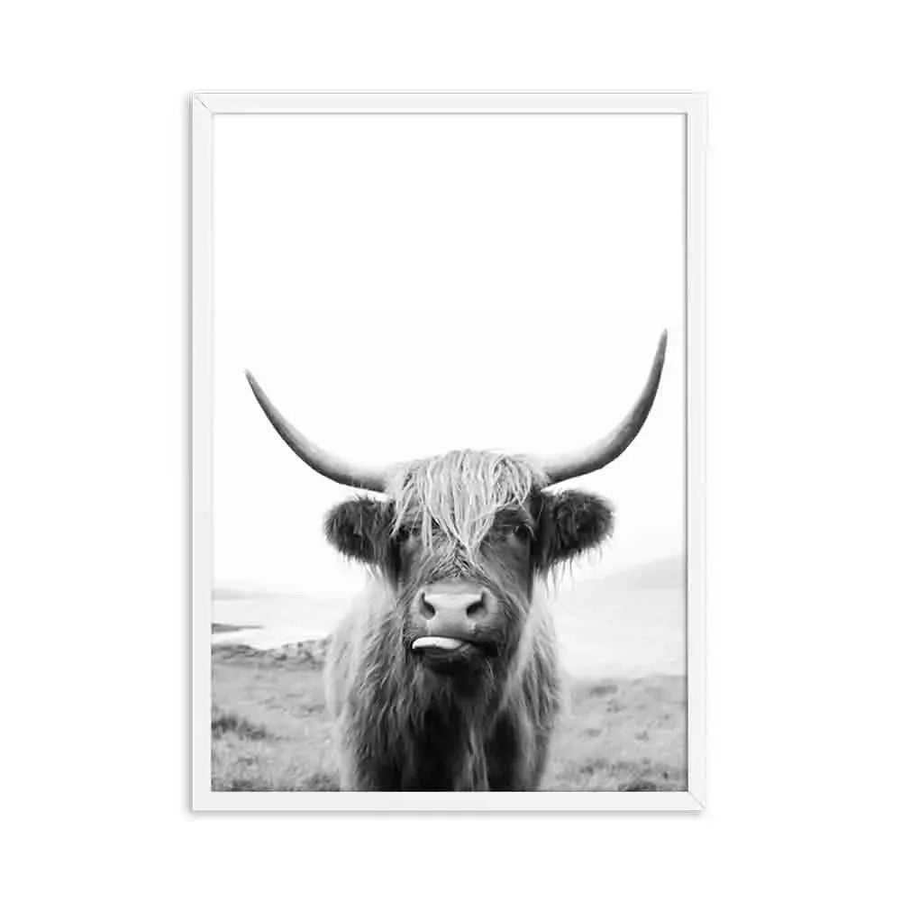 Highland Cattle Black White Minimalist Wall Art Fine Art Canvas Prints Posters Pictures For Living Room Dining Room Nordic Home Decor