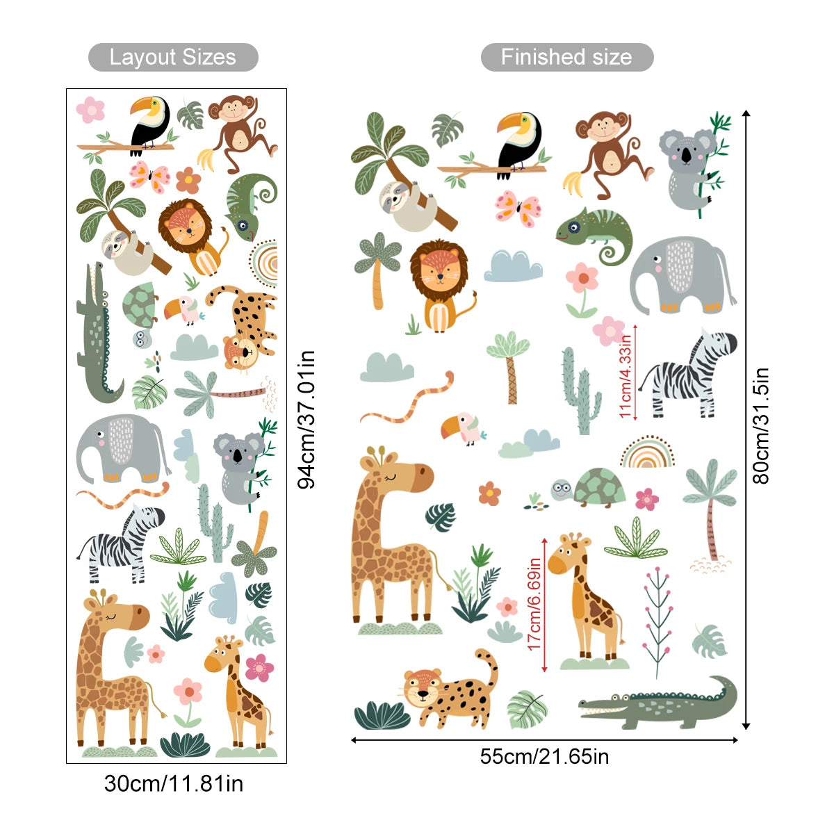 Illustrations of jungle animals and plants with dimensions on a white background