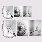 Set of six black and white dandelion wall art pieces with dimensions displayed.