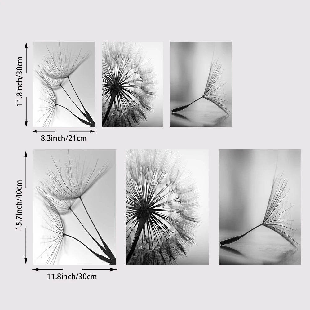 Set of six black and white dandelion wall art pieces with dimensions displayed.