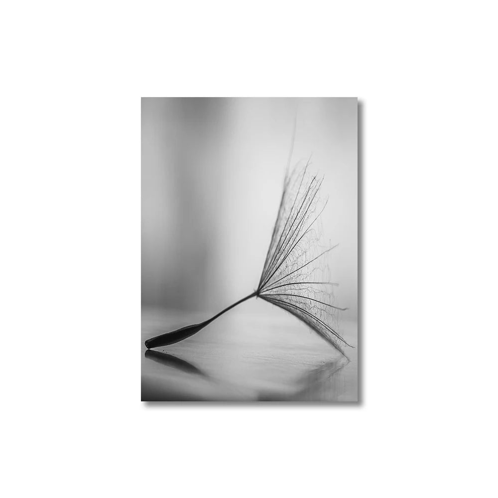 Black and white dandelion seed head on a reflective surface with a white background
