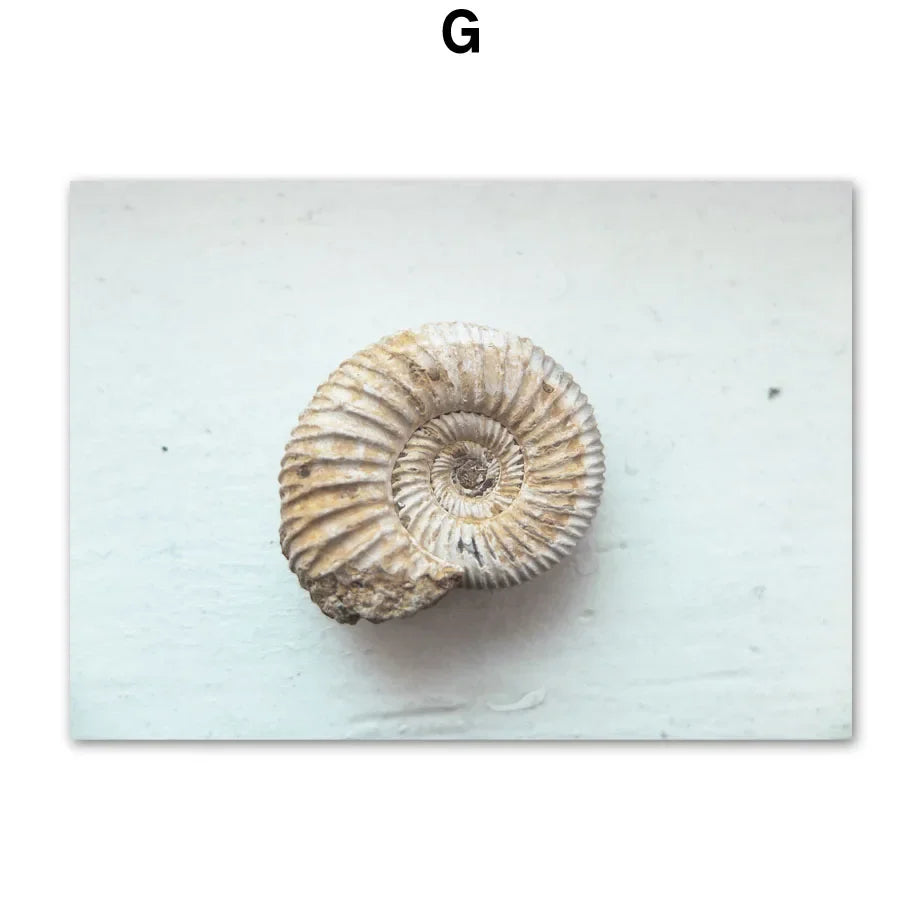 Minimalist Lifestyle Beach Landscape Wall Art Fine Art Canvas Prints Gallery Wall Pictures Of Calm For Living Room Scandinavian Home Decor 2024