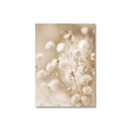 Sepia-toned floral arrangement on a white background