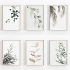 Set of six framed botanical prints on a white wall.