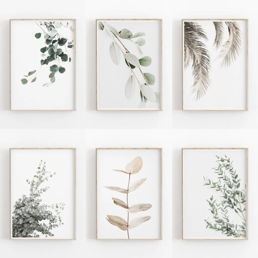 Set of six framed botanical prints on a white wall.