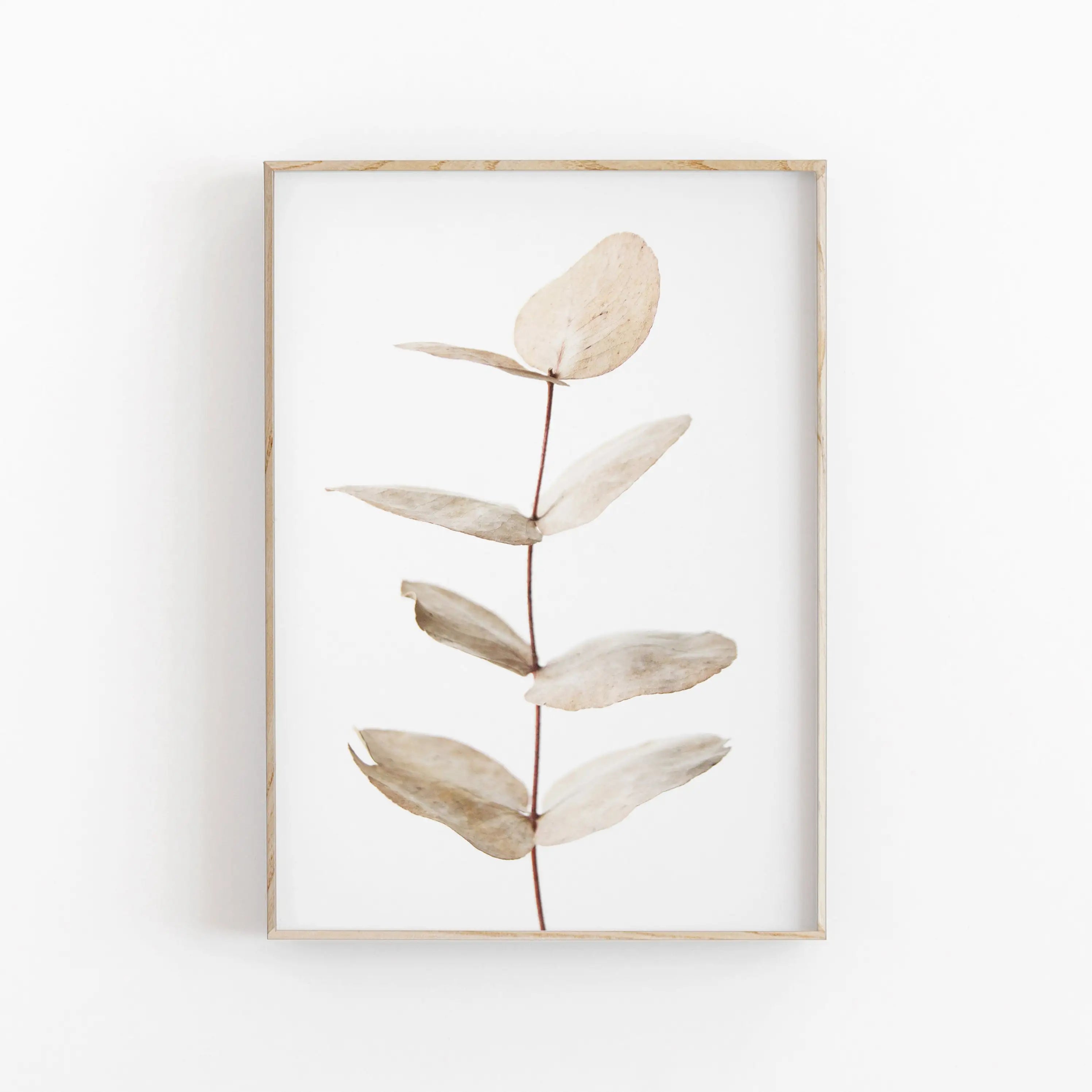 Framed artwork of a leafy branch on a white background