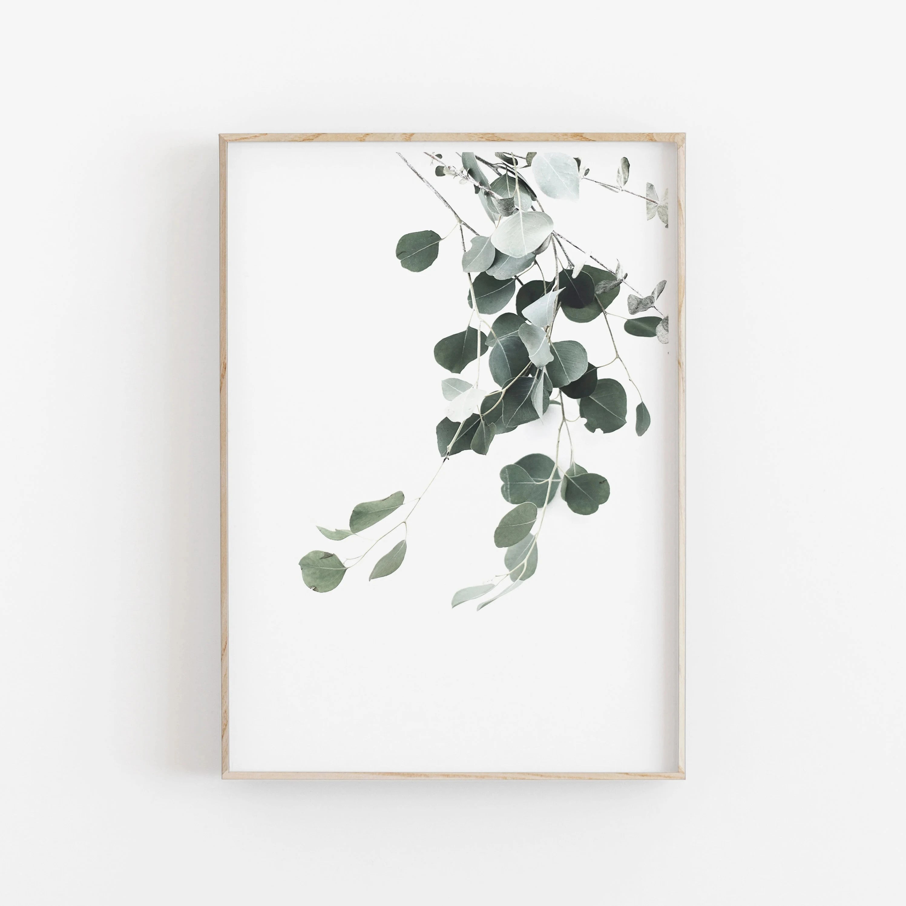 Framed artwork of eucalyptus leaves on a white background