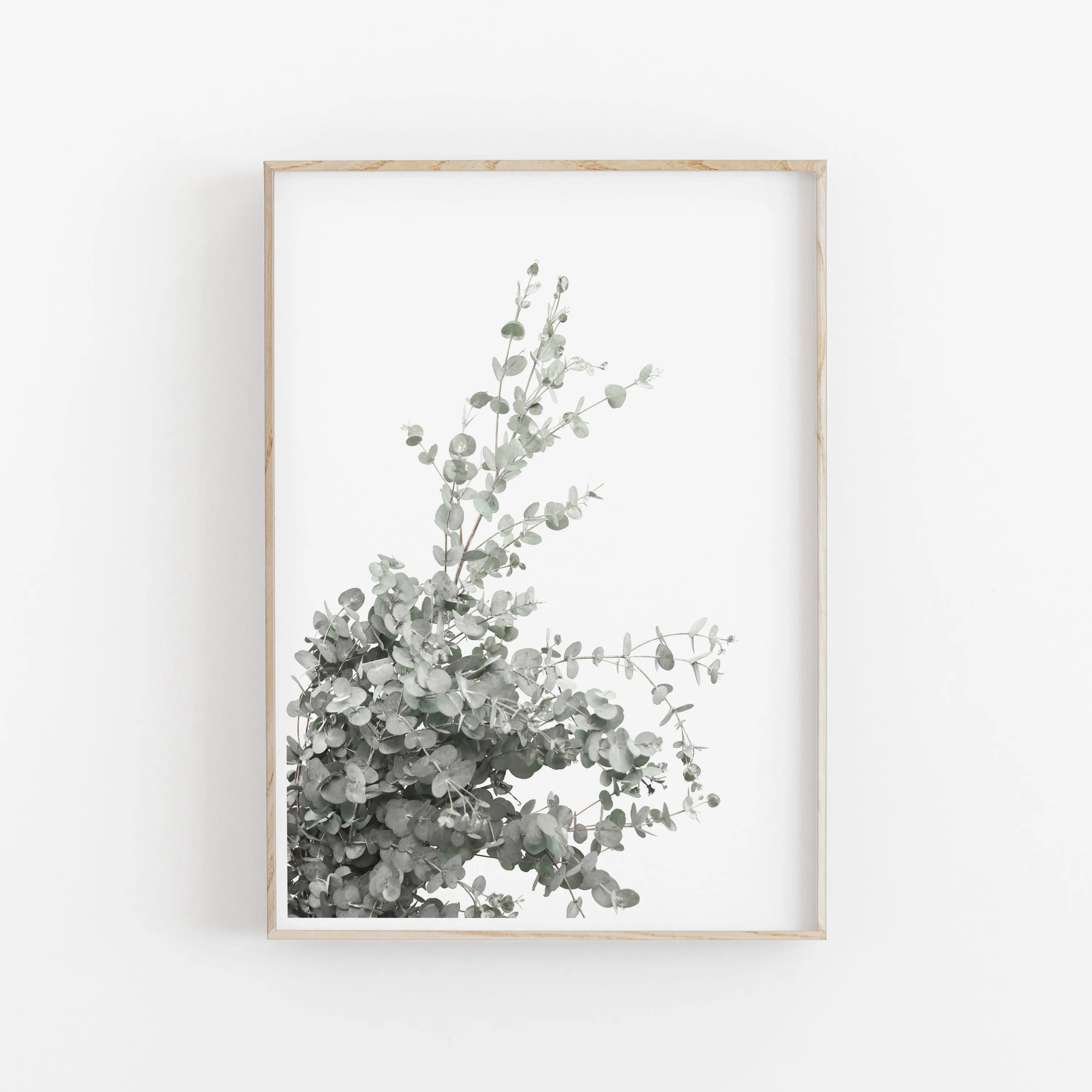 Framed artwork of a eucalyptus branch on a white background