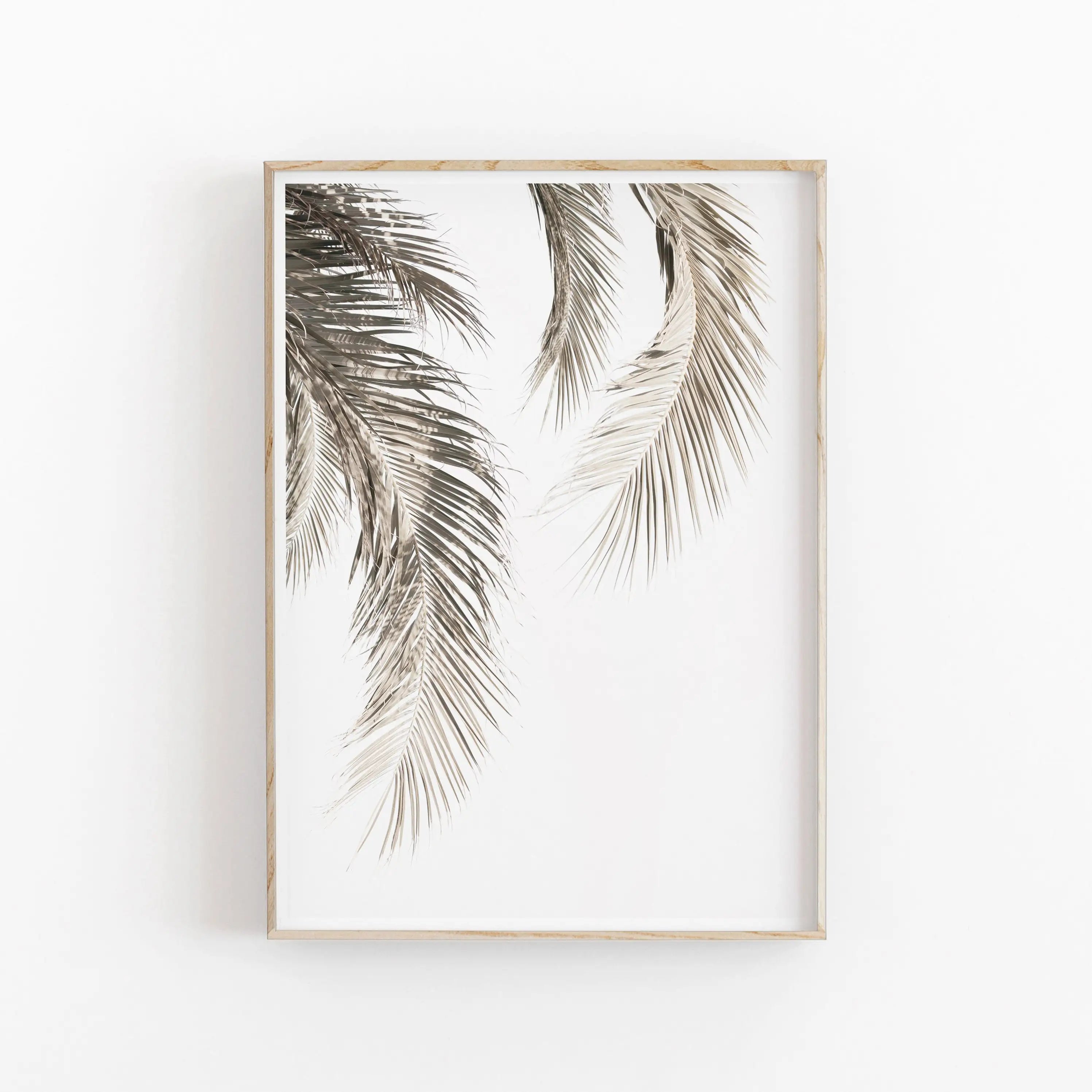 Framed artwork of palm leaves on a white background