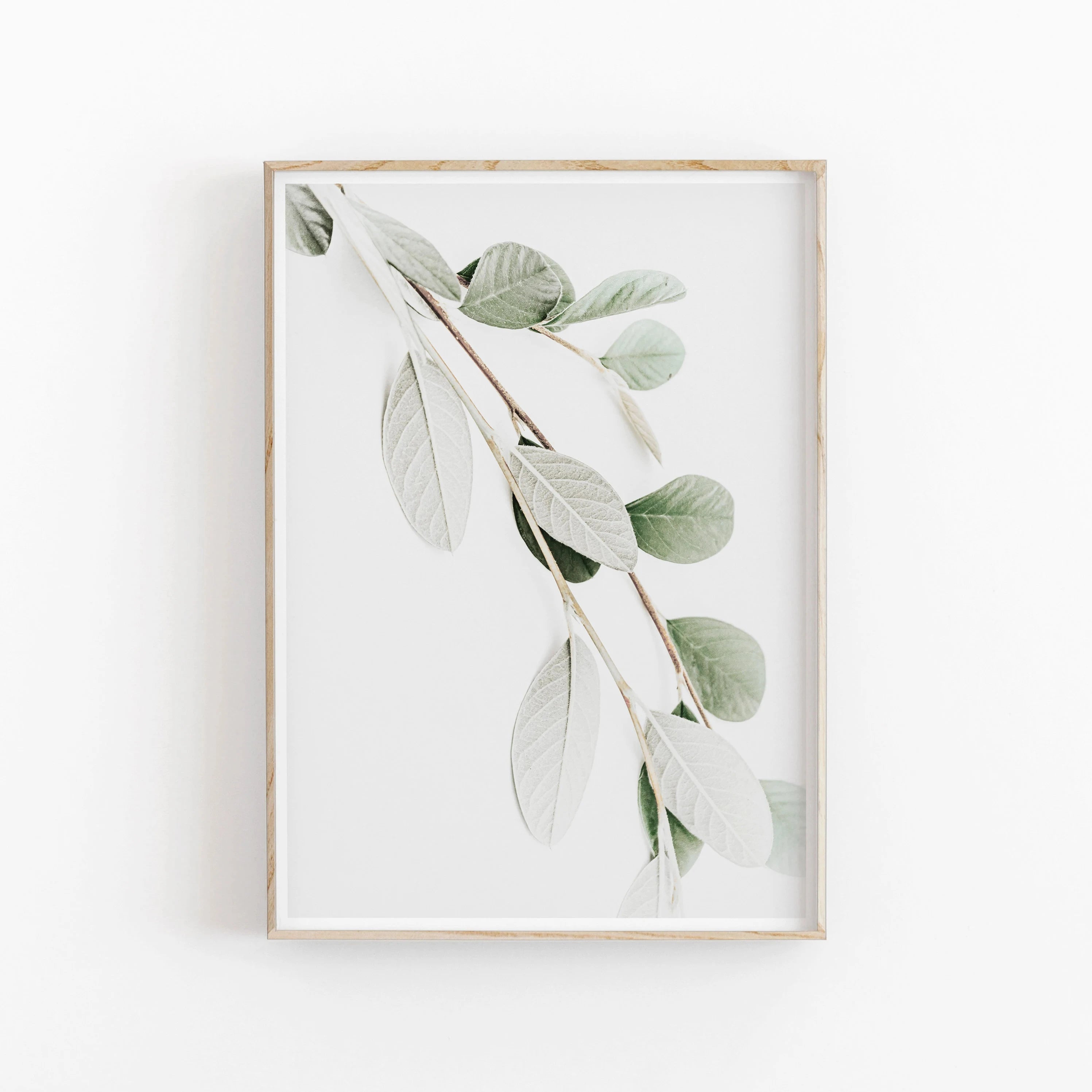 Framed artwork of a leafy branch on a white background