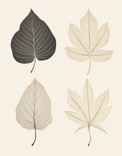 Minimalist Nordic Zen Pebbles and Leaves Neutral Colors Pictures For Living Room Dining Room Bedroom Boutique Spa Salon Art Decor 2025