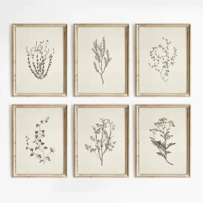 Six framed botanical prints on a white background