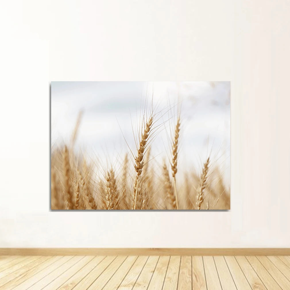 Wall art of wheat field on a white wall with wooden floor