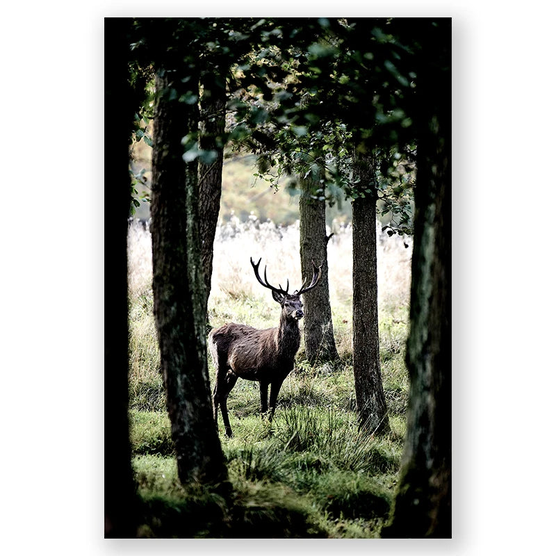 Nordic Winter Forest Deer Landscape Wall Art Fine Art Canvas Prints Gallery Wall Pictures For Living Room Dining Room Art For Scandinavian Home Decor 2025