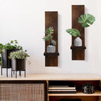 Wooden wall shelves with plants on a white wall