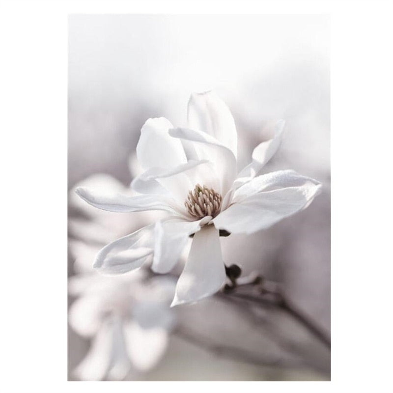 Simple Floral White Rose Peonies Wall Art Fine Art Canvas Prints Black White Botanical Pictures For Living Room Modern Interiors Home Decor