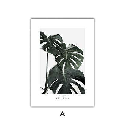 Minimalist Green Leaves Modern Botanical Specimen Wall art Fine Art Canvas Prints Gallery Wall Pictures For Living Room Dining Room Art Decor