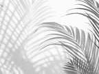 Nordic Wall Mural Black White Tropical Leaves Wall Art Wallcovering Large Sizes Wall Decor Wallpaper Big Mural For Living Room Bedroom