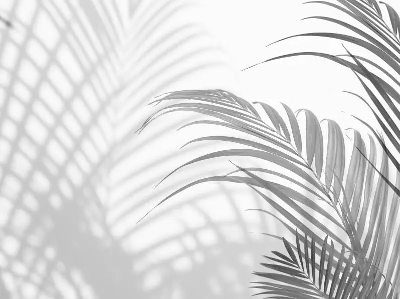 Nordic Wall Mural Black White Tropical Leaves Wall Art Wallcovering Large Sizes Wall Decor Wallpaper Big Mural For Living Room Bedroom