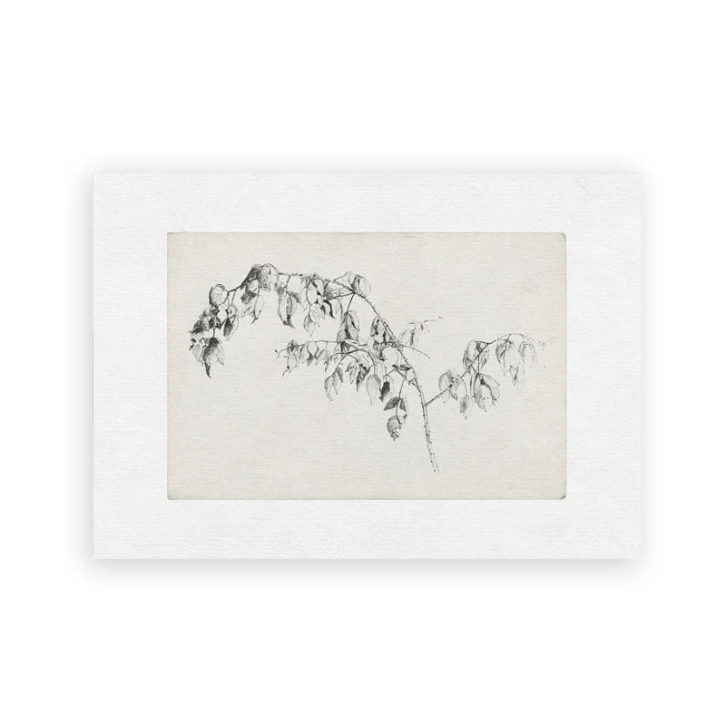 Vintage Neutral Landscape Botanical Sketch Wall Art Fine Art Canvas Prints Mountains, Countryside Scenery, Architecture & Nature Illustrations