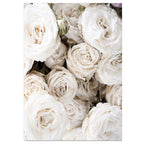 Simple Floral White Rose Peonies Wall Art Fine Art Canvas Prints Black White Botanical Pictures For Living Room Modern Interiors Home Decor