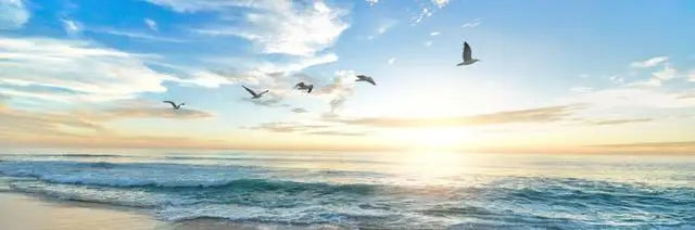 Mountain Lake Forest Wilderness Wall Art Large Format Canvas Prints Wide Format Landscape Picture For Above The Sofa Or Above The Bed