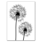 47687696417047|47687696449815|47687696482583|47687696515351|47687696548119