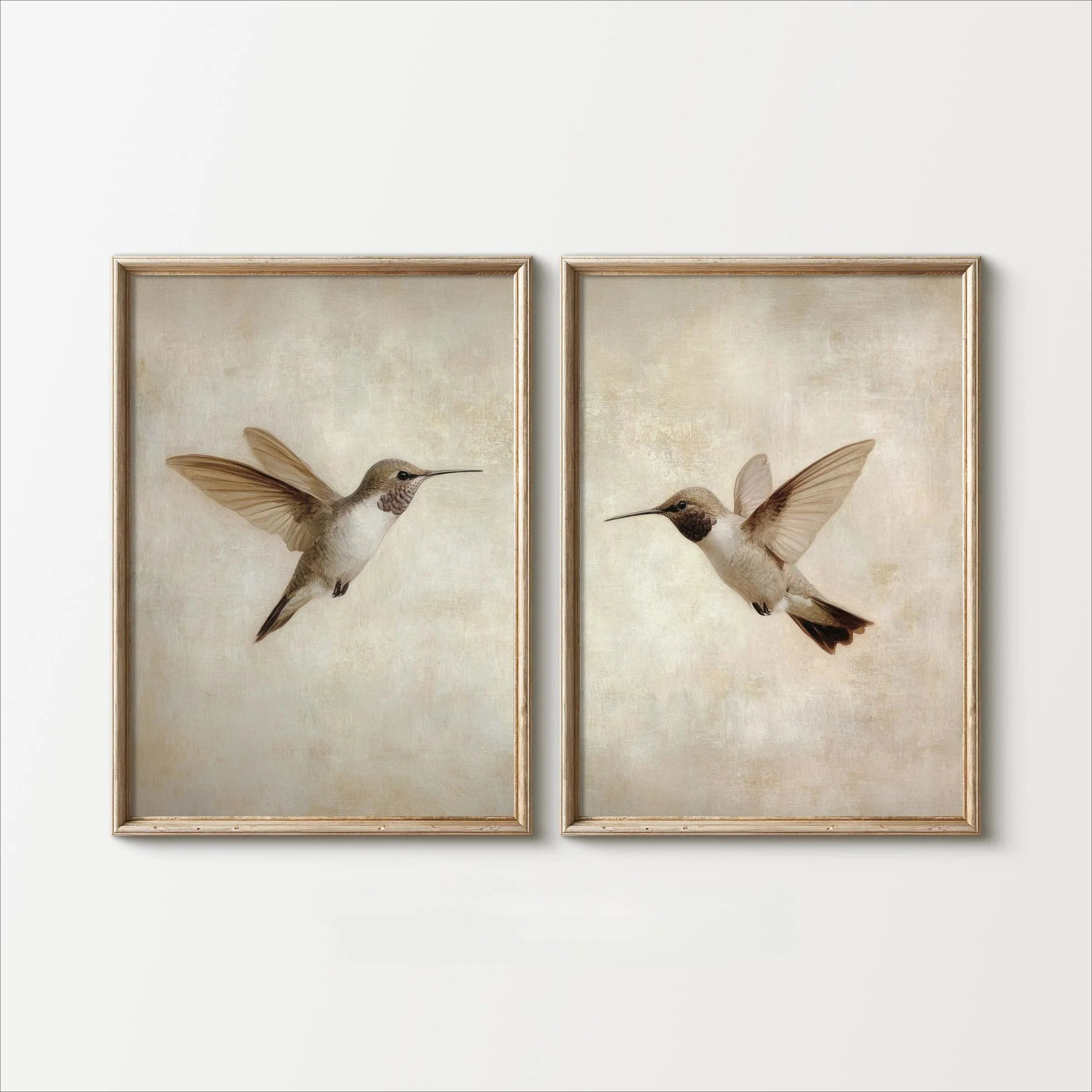Set of 2Pcs Vintage Hummingbird Illustration Wall Art Fine Art Canvas Prints Pictures For Living Room Dining Room Bedroom Art Decor