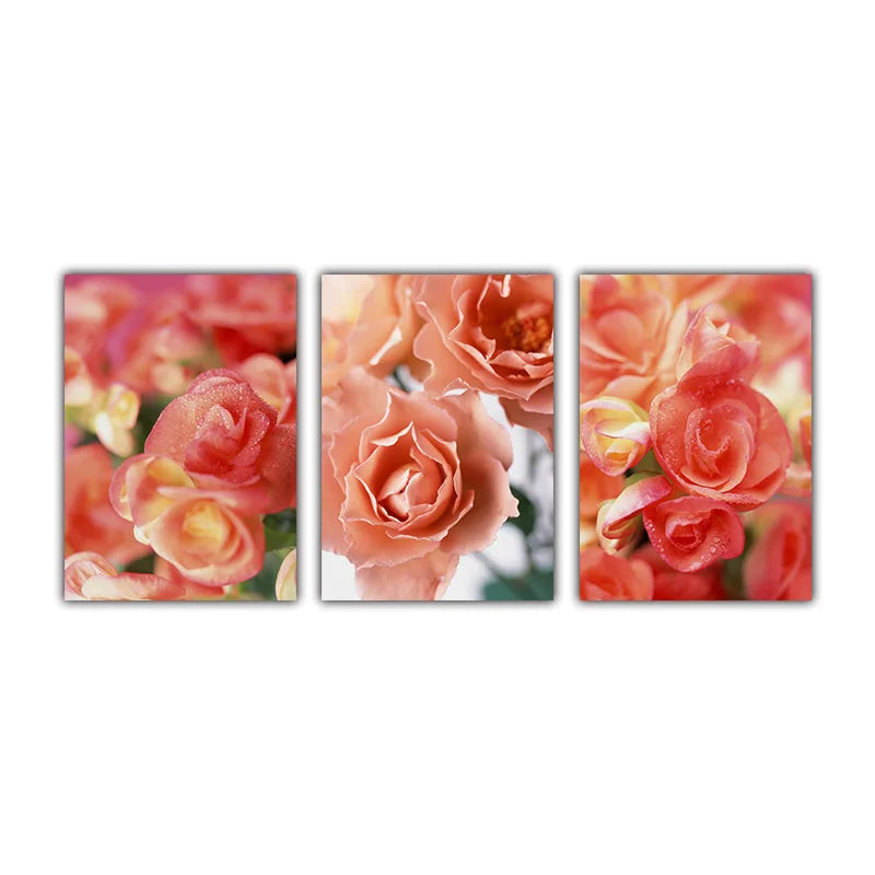 49289109569815|49289109602583|49289109635351|49289109668119|49289109700887|49289109733655|49289109831959