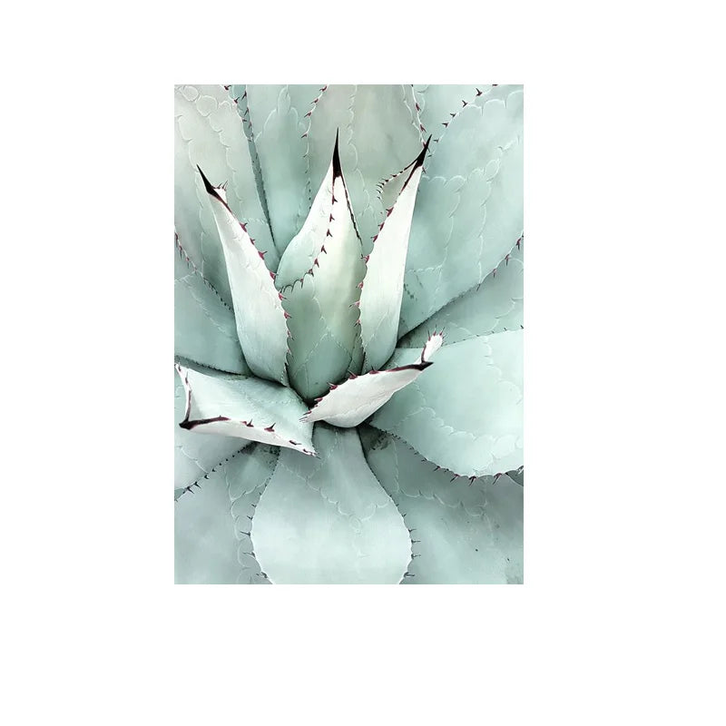 Cactus Wall Art Fine Art Canvas Prints Pictures For Living Room Dining Room Green Leaf Botanical Art For Modern Apartment Decor