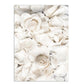 Simple Floral White Rose Peonies Wall Art Fine Art Canvas Prints Black White Botanical Pictures For Living Room Modern Interiors Home Decor