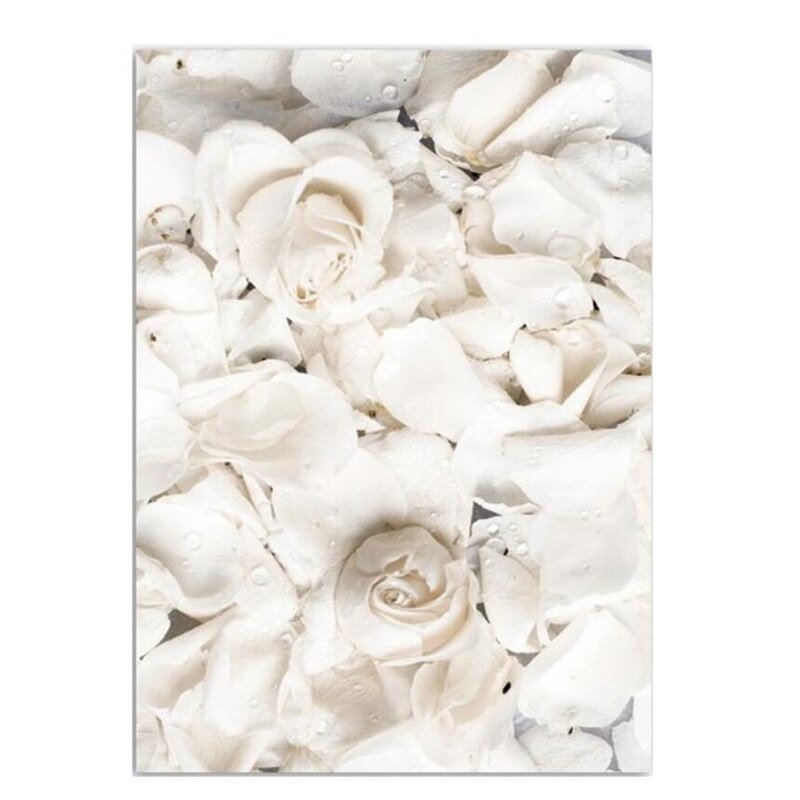 Simple Floral White Rose Peonies Wall Art Fine Art Canvas Prints Black White Botanical Pictures For Living Room Modern Interiors Home Decor