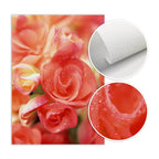 Pink Red Roses Floral Wall Art Fine Art Canvas Prints Modern Botanical Posters Pictures For Living Room, Bedroom Art Decor