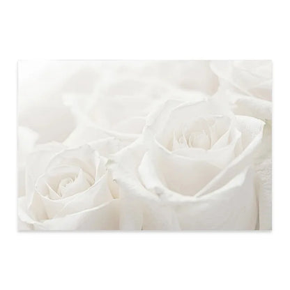 Minimalist White Floral Dahlia Rose Wall Art Fine Art Canvas Prints Pictures of Calm For Living Room Bedroom Modern Home Art Decor