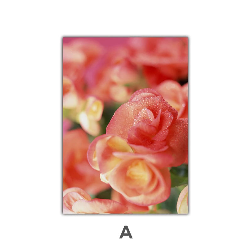 49289108947223|49289108979991|49289109012759|49289109176599|49289109209367|49289109242135|49289109274903