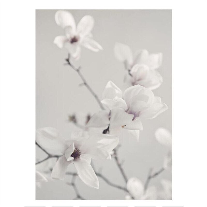 Simple Floral White Rose Peonies Wall Art Fine Art Canvas Prints Black White Botanical Pictures For Living Room Modern Interiors Home Decor