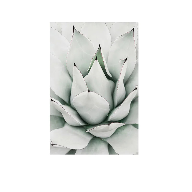Cactus Wall Art Fine Art Canvas Prints Pictures For Living Room Dining Room Green Leaf Botanical Art For Modern Apartment Decor