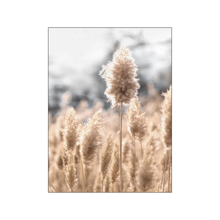 Natural Beige Grass Reeds Mountain Lake Landscapes Wall Art Fine Art Canvas Prints Pictures For Modern Living Room Gallery Wall Decor