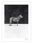 49806496137495|49806496170263|49806496268567|49806496334103|49806496399639|49806496465175|49806496530711|49806496596247