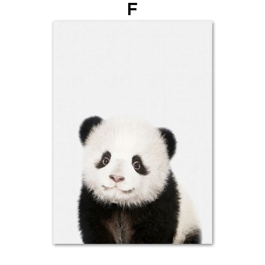 47666678759703|47666678792471|47666678825239|47666678858007|47666678890775